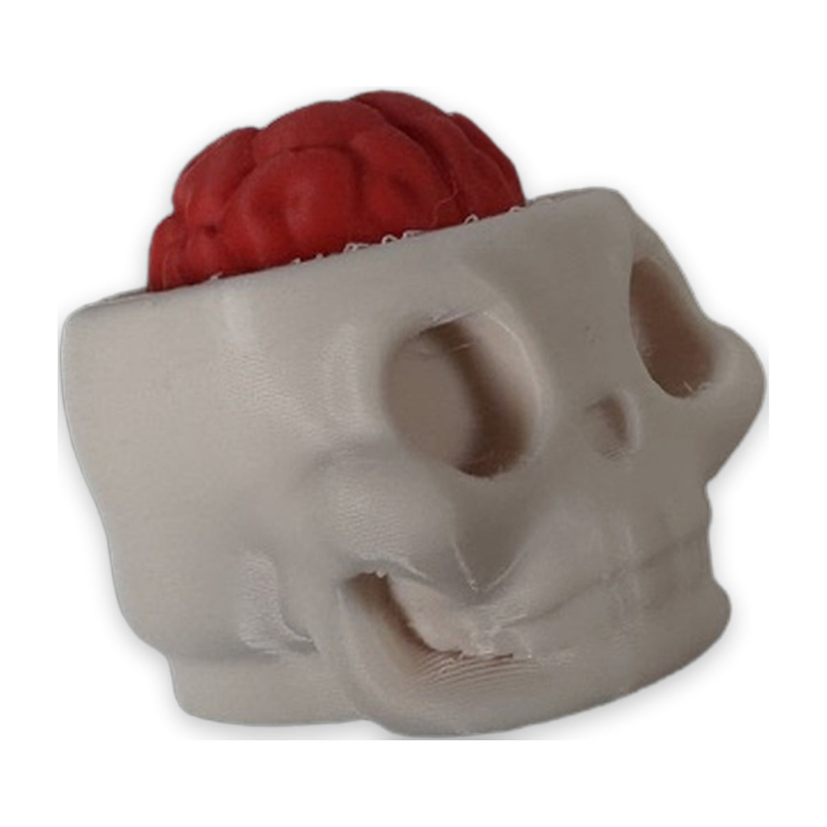 Skeleton head clicker, detail of the red brain